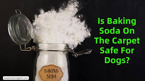 baking soda on the carpet safe for dogs