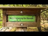 HundGut!Training // Berlin - YouTube