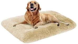 Clean a large dog bed according to the manufacturer's care instructions. Amazon Com Oxs Dog Bed Long Plush Pet Bed Comfortable Faux Fur Washable Crate Mat For Jumbo Large Medium Dogs With Anti In 2021 Plush Pet Bed Dog Bed Cool Dog Beds