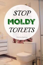 stop moldy toilets home maid simple