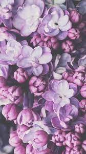 Flowers Purple iPhone Wallpapers - 2022 ...