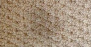 new carpet stain warranties explained