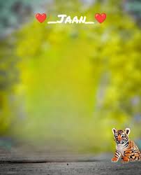 tiger lover cb editing background hd