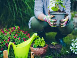Gardening Ideas And Inspiration