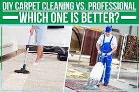 diy carpet cleaning vs professional