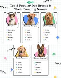 most por dog names in the usa