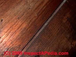 Species like pine, oak and fir are easily recognizable by their hardwood floor grains. Wood Flooring Types Ages Photo Guide To Identifying Kinds Of Wood Wood Flooring