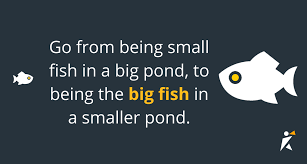 big fish in a smaller pond speakerhub