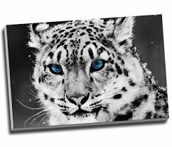 Snow Leopard Canvas Print Wall Art