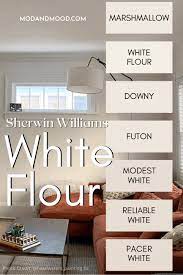Sherwin Williams White Flour Review
