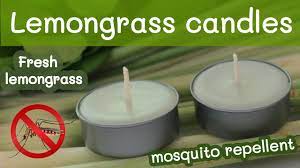 lemongr candle mosquito repellent