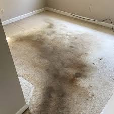 7 carpet cleaning mistakes that ruin