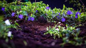 Tips On Improving Your Garden Soil