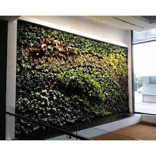 Space often makes it difficult to have a garden for. Life Wall Indoor Vertical Garden Rs 975 Square Feet Lifewall Id 14278321997