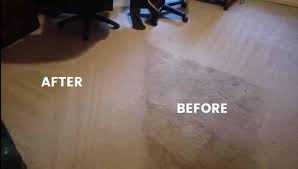 reviews advane commercial cleaning