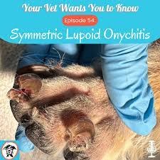 symmetric lupoid onychitis your vet