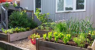 How To Grow Veggies In A Small Space
