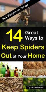 14 great ways to keep spiders out of