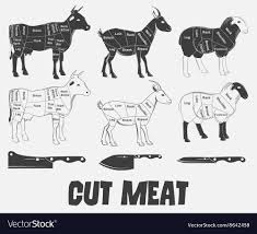 British Cuts Of Lamb Veal Beef Goat Or Animal
