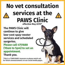 Vet Services Does Paws Offer Vet Services Philippine