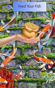 Live Fish Wallpapers HD - 3D Real ...