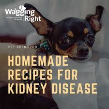 homemade dog food for kidney disease