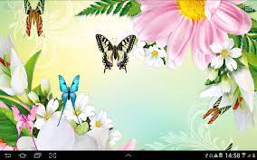 Butterflies Live Wallpaper APK 1.1.1 ...