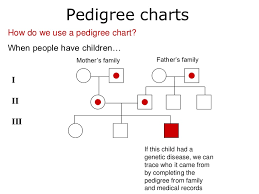 Pedigrees Lesson