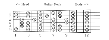 Beginner Guitar Lessons What Is A Guitar Scale Guitar Scales