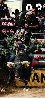 best bull riding iphone hd wallpapers