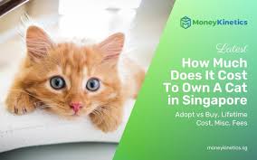 how much does a cat cost in singapore