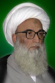 Ayatullah Sheikh Muhammad Hussain Najafi (ha) :