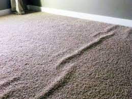 top 3 benefits of carpet stretching