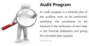 Audit Program: Meaning, Objectives, Contents, Advantages, Disadvantages