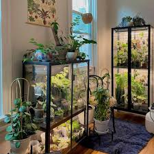 22 diy indoor greenhouse ideas