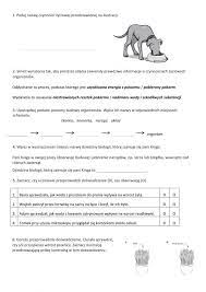 Klasa 5 - rozdział 1 worksheet | School subjects, Online workouts, Workbook