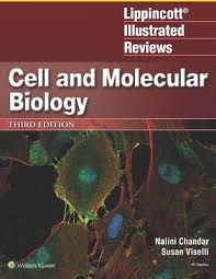 cell and molecular biology paperback