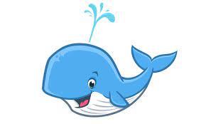 cartoon whale images browse 92 133
