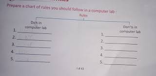 Prepare A Chart Of Rules We Should Follow In A Computer Lab