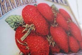 Strawberries Fruit Crate Label Sign Art