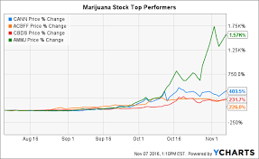 Developments In Marijuana Stocks Leading Into The Election