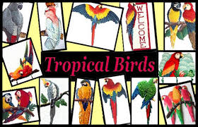 Tropical Decor Painted Metal Parrots