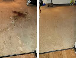 carpet cleaning victor ny chem dry