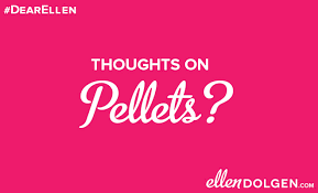 Thoughts On Pellets Ellen Dolgen