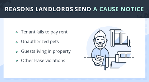 notice to vacate everything landlords