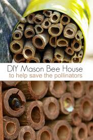 Diy bee house this adorable bee house will be the perfect addition to your spring garden. Diy Mason Bee House To Help Save Pollinators Turning The Clock Back