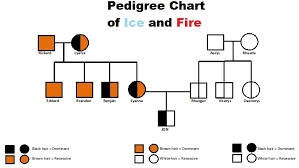 Everything Pedigree Chart Of Why Jons Hair Is Black