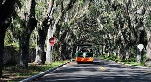16 types of oak trees in florida