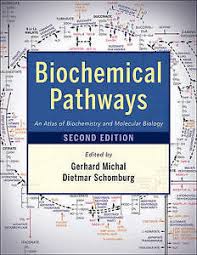 Biochemical Pathways An Atlas Of Biochemistry And Molecular Biology By John Wiley And Sons Ltd Hardback 2012