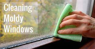 Cleaning Moldy Windows Including Glass
